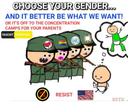 Screenshot_20240306_112717_Gallery