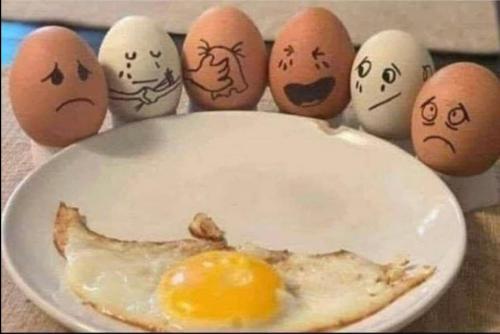 e6478f37-2d78-46ad-8f63-d8a65d4d1d87