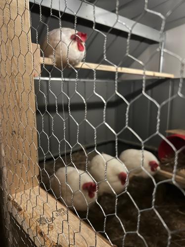 CBEBDFEE-DC08-4642-BCC0-EF5E4C7A0B41