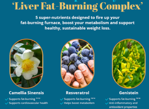 LivPure Liver Cleansing Fat Burning Comples