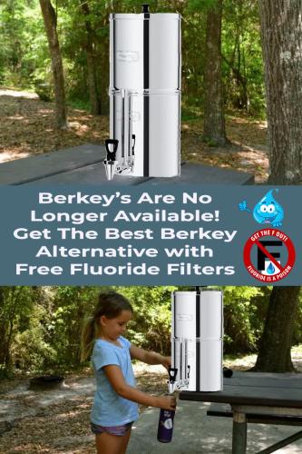Best Berkey Alternative WaterDrop King