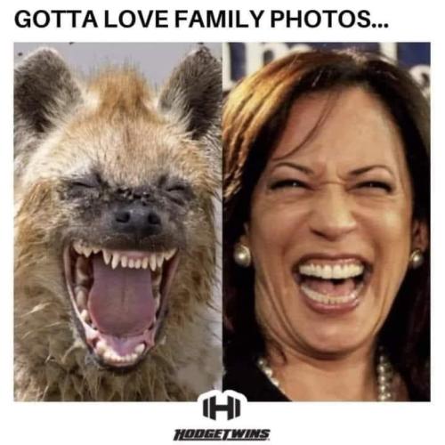 sngine_0b448d347a86dfacfdd7623d6d7442d9