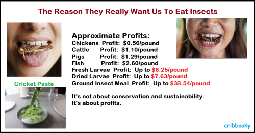 insect_food_profits