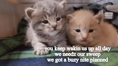 21cf8e0b1f3958e1dae33762e59ceb8b