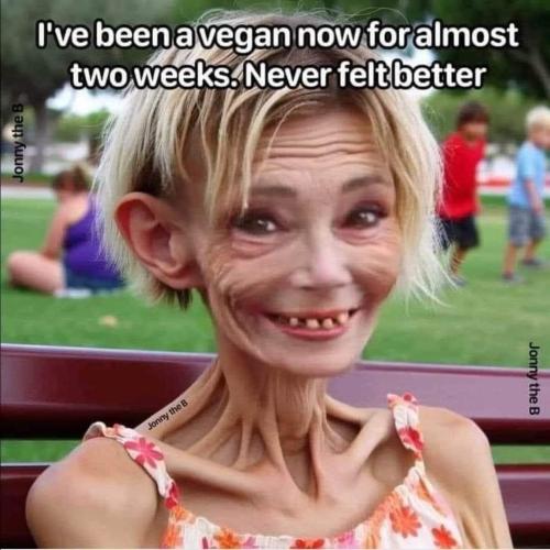 FB_IMG_1709824241079
