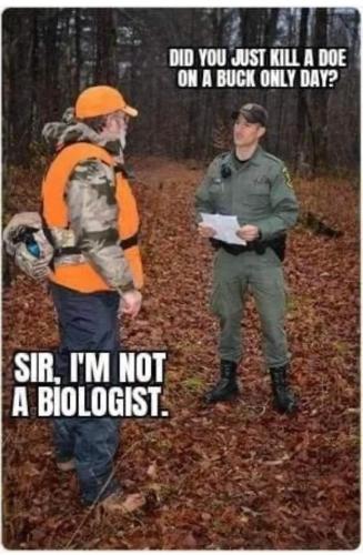 D28C2DC0-D2CD-45AC-AF8D-0357D3FC907A-1602-000004F1425E9E9E