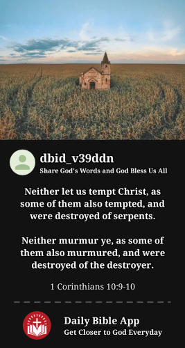 2024-03-261711431405360