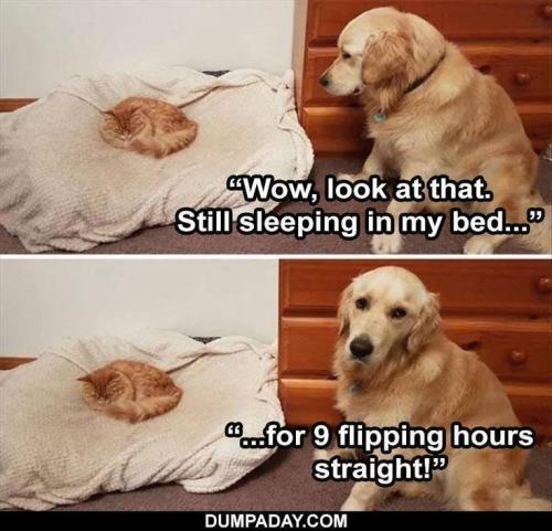 3a534c0c3fe083d28161962d3c791ea2