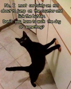 2209b3faa762917d3cd3e0a5cde5b860