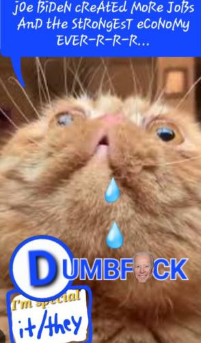 Screenshot_20240308_120908_Gallery