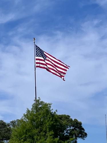 D7DB1349-778A-4E13-8C12-639C4C906AF2