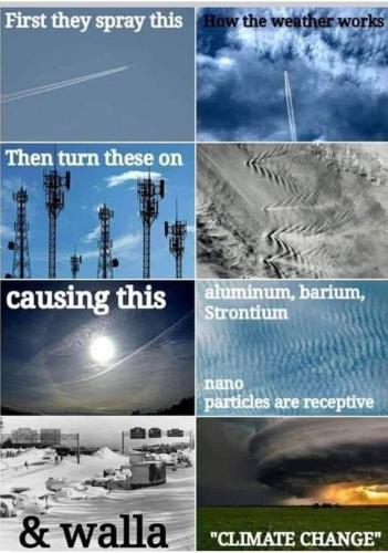 FB_IMG_1709922162928