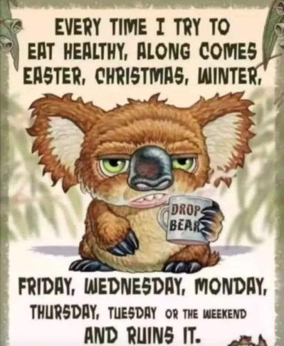 430295427_921362612998781_1741946224394254902_n