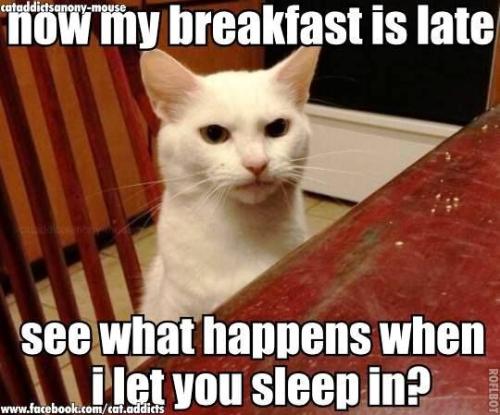 3ded69d9ff198dc01818d49dab7d3b86