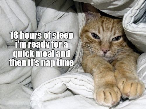 28e9a7e161c78389a4ec04b6516cd613