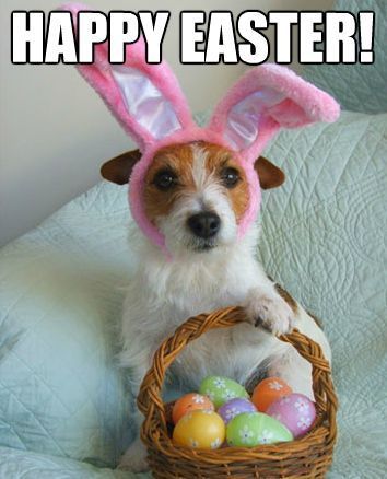 happy-easter-images-dogs