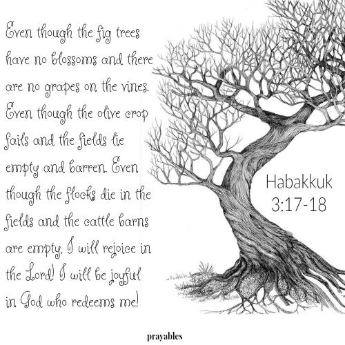 Habakkuk 3_17-18