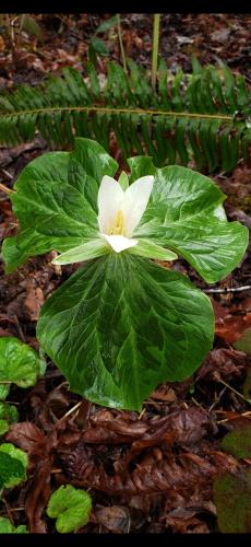 Screenshot_20240323_113438_Photos