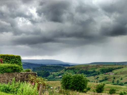 IMG20200627152842-01