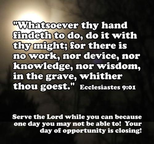 e9ae8911-edba-441d-b6a1-3d4c3066a711