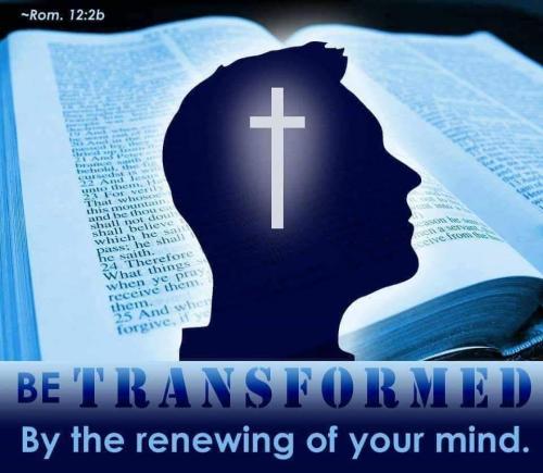 245c0f29-724c-4d4a-bfb2-19480a8cc378