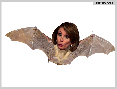 Old Bat Nancy Pelosi