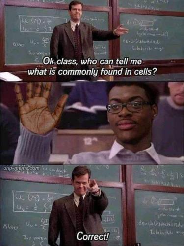 IMG_20240330_172642_048