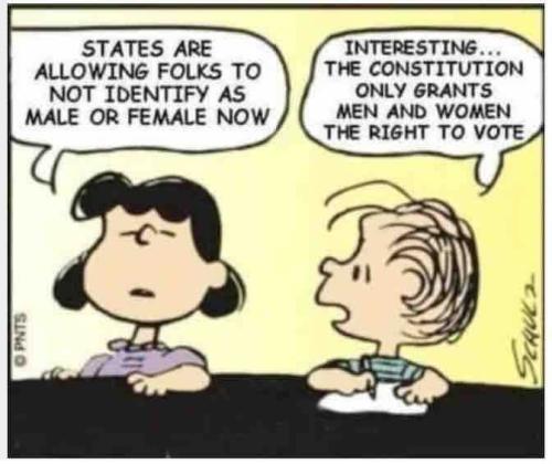 200541652_157103083109930_2514926805855714126_n