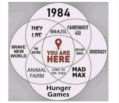 Screenshot_20240315_033536_Wimkin Free Speech Social Media