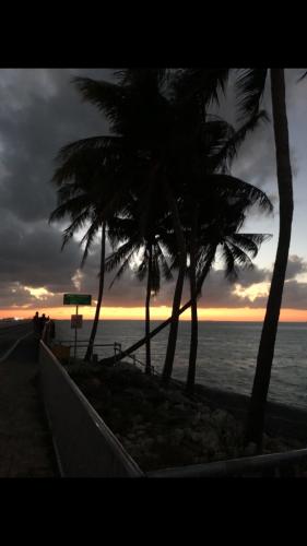 B53BA43E-8CB4-4CB3-9248-5C6C73335D98