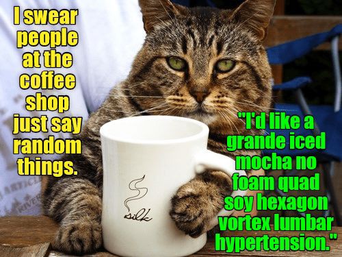 538e497bfa2fa54881b27194c3c5201e