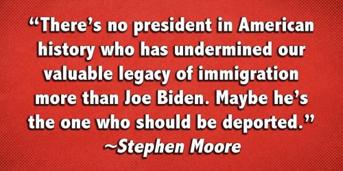 Immigration Destruction