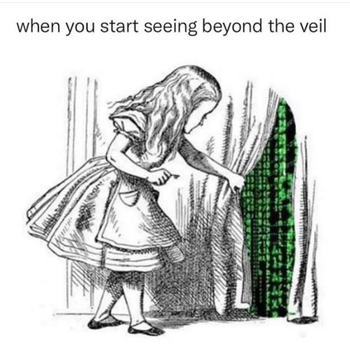 432019589_404931818845246_8022365397084469446_n