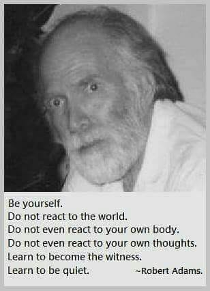 .  399043242_88823576266