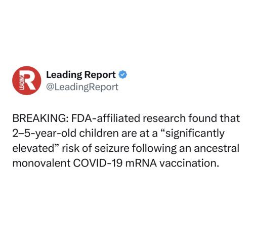 433136270_379451291637322_4135255266972924737_n