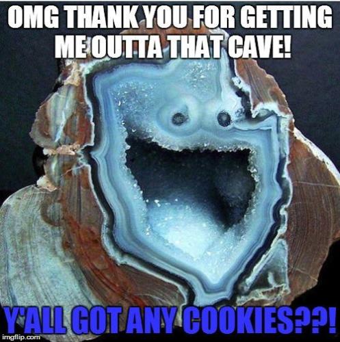 12790905_10153464824481958_976775661830885456_n