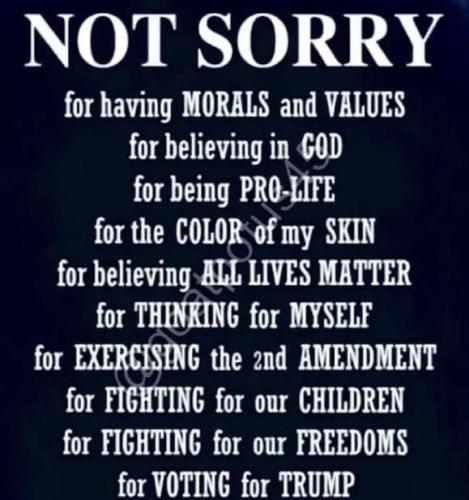 sngine_8c61dbe9975b91cc63e6579d73a3e387