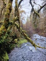 432800772_448168594310028_2130980039734187239_n