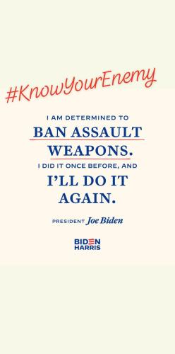 orca-image-661840731