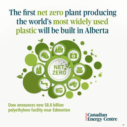 net zero plant
