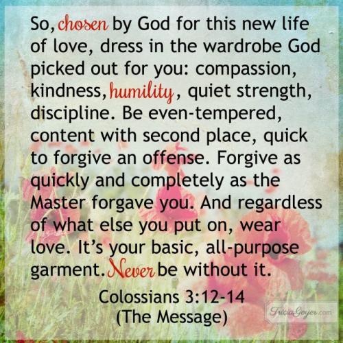 Colossians 3_12-14