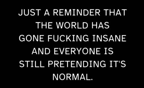 IMG_20240327_113239_431