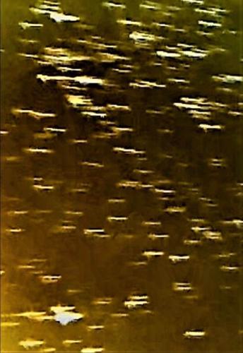 zzzzzz     zzzz 416257818_28592121779