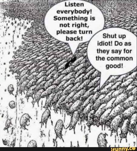 2cb4d84d-1a23-43f3-b4a9-81ffe1cc43af