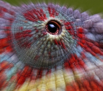 Picsart_24-03-12_21-52-53-981