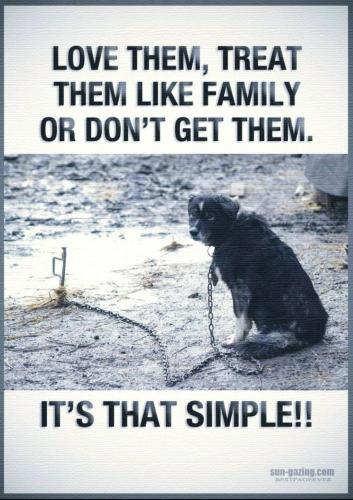 dfea2fec6fab80ce8de7642b3d6e909d