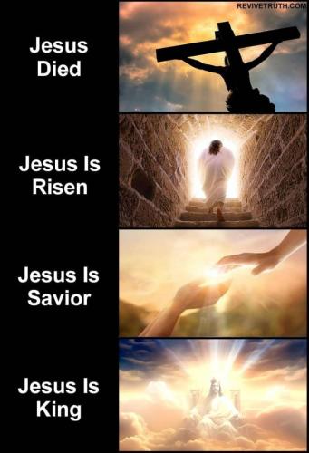 sngine_c187166400764527d8cbf0338031beb7