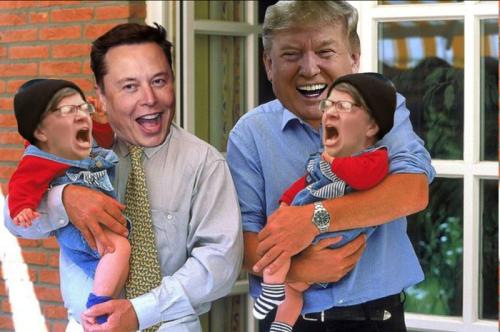 elon and trump