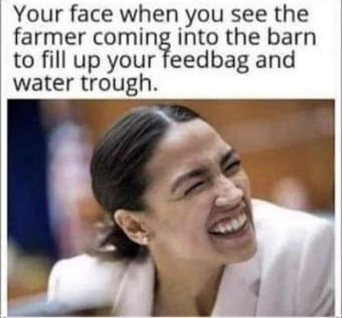 FB_IMG_1711478074572