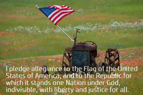 sngine_6a4337bd442aae964b6ad180f81950a6